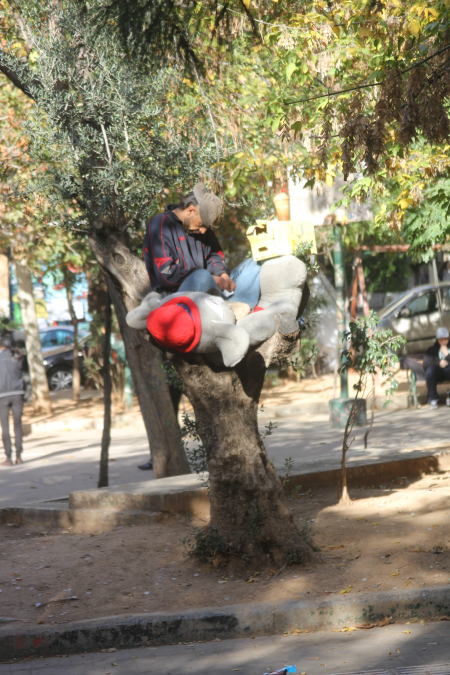 איש ישן על עץ בשכונת אקסרכיה בעיר אתונה, יוון. צילום: עידו קינן